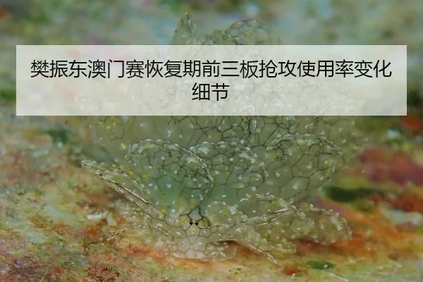 fan-zhen-dong-ao-men-sai-hui-fu-qi-qian-san-ban-qiang-gong-shi-yong-lv-bian-hua-xi-jie-3-412.jpg