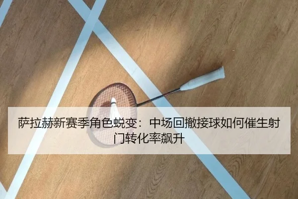 sa-la-he-xin-sai-ji-jue-se-tui-bian-zhong-chang-hui-che-jie-qiu-ru-he-cui-sheng-she-men-zhuan-hua-lv-biao-sheng-2-495.jpg