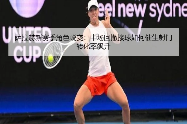 sa-la-he-xin-sai-ji-jue-se-tui-bian-zhong-chang-hui-che-jie-qiu-ru-he-cui-sheng-she-men-zhuan-hua-lv-biao-sheng-3-200.jpg