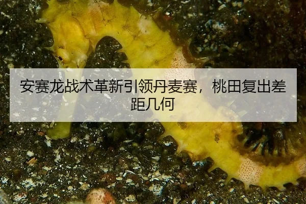 an-sai-long-zhan-shu-ge-xin-yin-ling-dan-mai-sai-tao-tian-fu-chu-chai-ju-ji-he-3-458.jpg