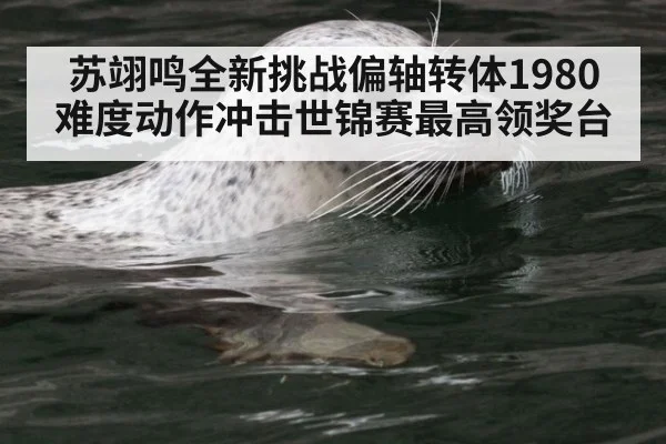 苏翊鸣全新挑战偏轴转体1980难度动作冲击世锦赛最高领奖台