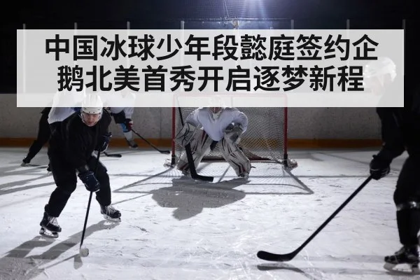 ice hockey game action